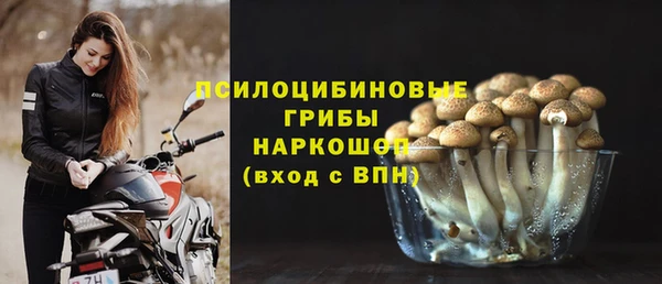 амф Липки