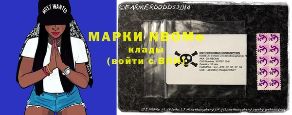амф Липки